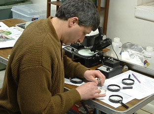Alan Samel identifying macroinvertebrates.